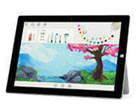 东风Surface 无法开启、Windows 无法启动或电池无法充电